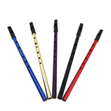 Beginners Only Flageolet Flute, Working Musical Instruments