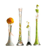 Nordic Slim Small-mouth Flower Vase – Modern Minimalist Home Décor