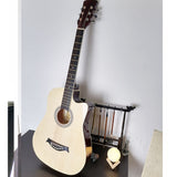 Acoustic Guitar Folk Instrument