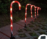 Solar Powered Cane String Lights, Christmas Home Decor