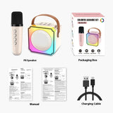 Double Household Outdoor Karaoke Microphone Speaker