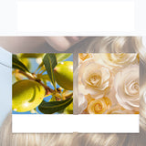 Moroccan Nut Essential Oil – Wash-free Conditioner for Dry, Dyed, and Soft Hair