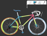 Road Race, Variable Speed, Solid Tire, Double Disc Brake, Sports Bicycle