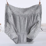 Plus Size Women's Lace Panties – High Waist Floral Lace Briefs (Pack of 2)