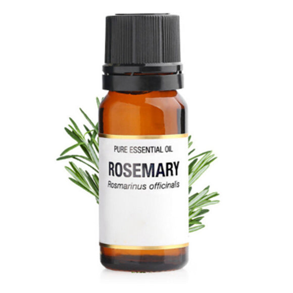 Rosemary Essential Oil