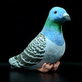 Little Pigeon Plush Toys
