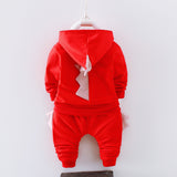 Boys' Cotton Tracksuit Set – Hoodie Jacket with Pants (Spring Autumn Kids Wear)