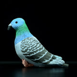 Little Pigeon Plush Toys