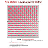 LED Physiotherapy Board, Infrared Beauty Enhancing Light Panel