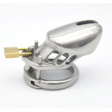 Stainless Steel Short Men's Chastity Lock and Belt