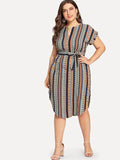 Fat Sister's Belt, Stripe Slim Look V-neck Dress