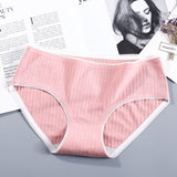 Women’s Hip Briefs Yoga Shorts – Comfortable Activewear (Pack of 2)