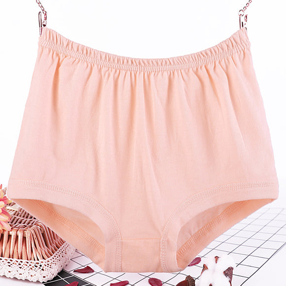 Plus Size, Fat Women's Briefs, Underwear for Moms