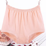 Plus Size, Fat Women's Briefs, Underwear for Moms