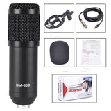 BM800 Large Diaphragm Condenser Microphone