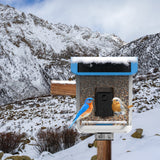 Smart Bird Feeder with AI Recognition App Camera
