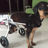 Dog Wheelchair - Fully Adjustable, Small Dogs' Mechanism