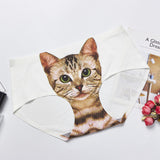 Cat Head Traceless Ventilation, Ice Silk Mid Waist, Women's Briefs