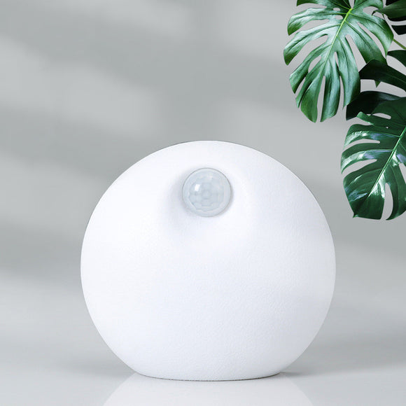 Smart Pet Deodorizer, Home Litter Basin Companion, Air Purifier