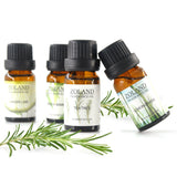 Aromatherapy Diffuser Oil
