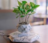 Magnetic Levitating Flowerpot, Creative Display Home Decor