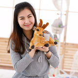 8bd2097106ff82a68ef442acacdd116b