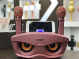 Portable Wireless, KTV Family Microphone