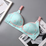 Feeding Brassiere, Open Bra for Nursing, Maternity Clothes for Women (Pack of 2)