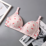 Feeding Brassiere, Open Bra for Nursing, Maternity Clothes for Women (Pack of 2)