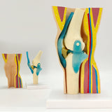 Human Knee Joint Ligament Muscle Foreskin Demonstration Model, Skeletal Movement Display