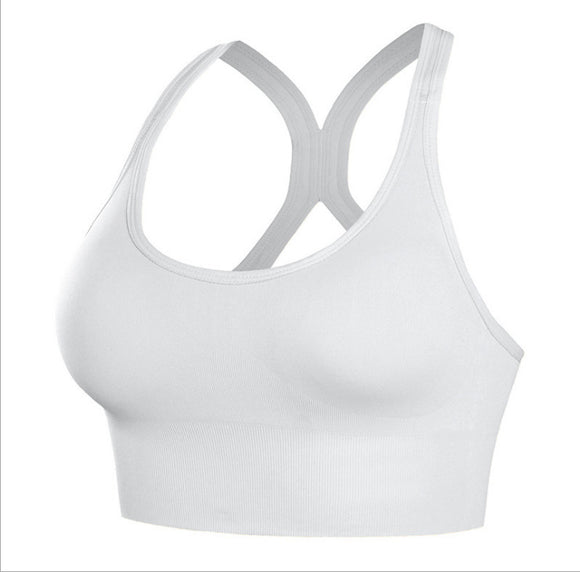 Hot Women's Sports Bra, Seamless Yoga Underwear, Exercise Tank Vest