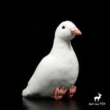 Little Pigeon Plush Toys