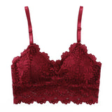 Lace Beauty Strap Padding Bra