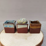 Desktop Decor Accessories, Succulent Flower Empty Square Pot