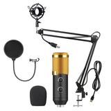 Computer Karaoke Live Chat Recording USB Condenser Microphone Set