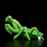 Lifelike Mantis Plush Toys, Mantis Stuffed Animals Toy for Kids