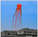 3D Three-dimensional Software, Large Octopus Kite