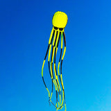 3D Three-dimensional Software, Large Octopus Kite