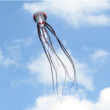 3D Three-dimensional Software, Large Octopus Kite