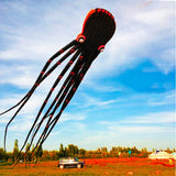 3D Three-dimensional Software, Large Octopus Kite