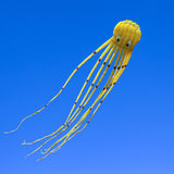 3D Three-dimensional Software, Large Octopus Kite