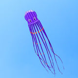 3D Three-dimensional Software, Large Octopus Kite