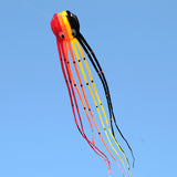 3D Three-dimensional Software, Large Octopus Kite