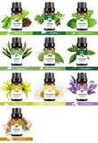 Tea Tree Essential Oil for Aromatherapy & Massage (Pack of 2)