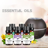 Tea Tree Essential Oil for Aromatherapy & Massage (Pack of 2)