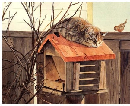 Cat on a Bird House - DIY Kit