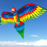 Large Size 3D Parrot Kite, Trendy Designs