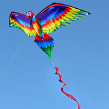 Large Size 3D Parrot Kite, Trendy Designs