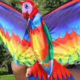 Large Size 3D Parrot Kite, Trendy Designs