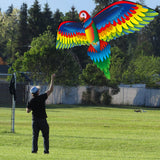 Large Size 3D Parrot Kite, Trendy Designs